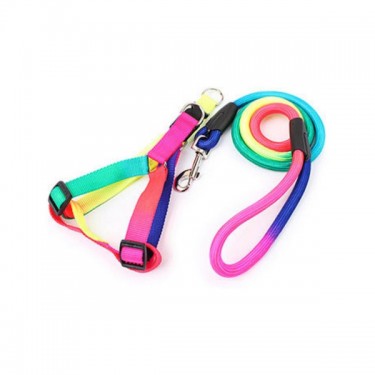 collares-y-correas-C-108conjunto-arcoiris-alpino--1655389170.jpg