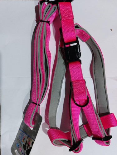 collares-y-correas-C-119conjunto-neoprene-fluor-m-1658755547.jpg