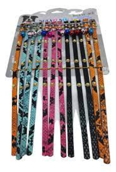 collares-y-correas-J-551-blister-collar-reptil-con-1739972468.jpg