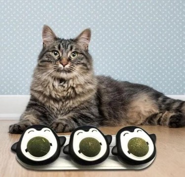 juguetes-J-4539-cat-nip-x3-pinguino-1749581286.jpeg
